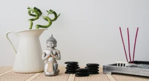 Feng Shui Basics: Creating Positive Energy in Your Home